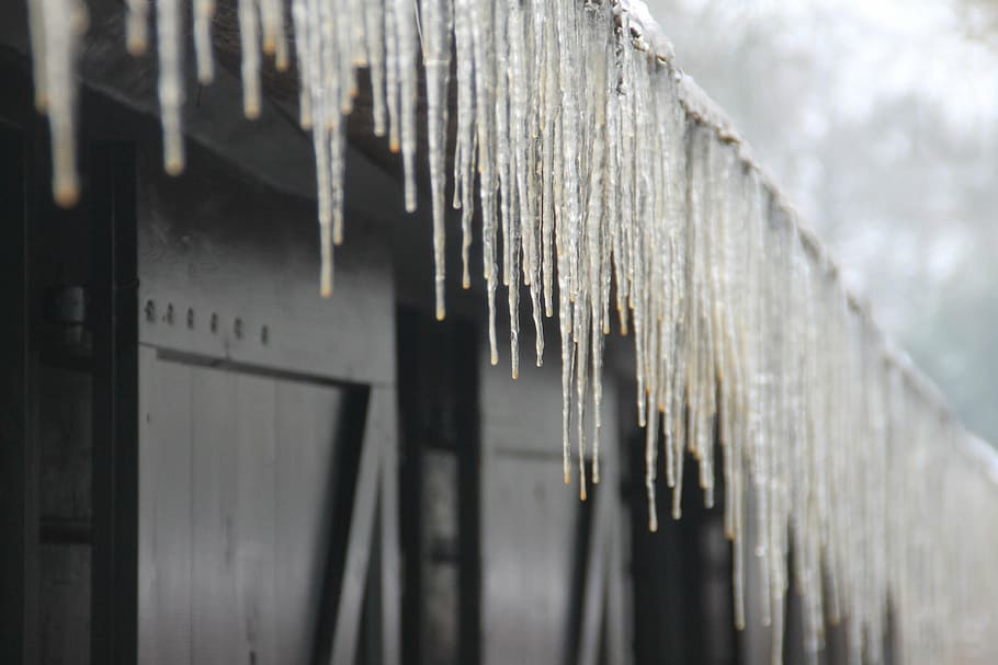 icicle, ice, winter, zing, frost, hanging, selective focus HD wallpaper