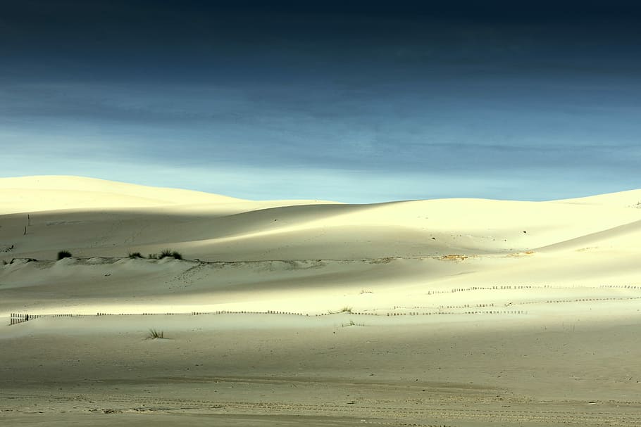 desert under blue skies, white desert, dune, sandy, arid, horizon HD wallpaper