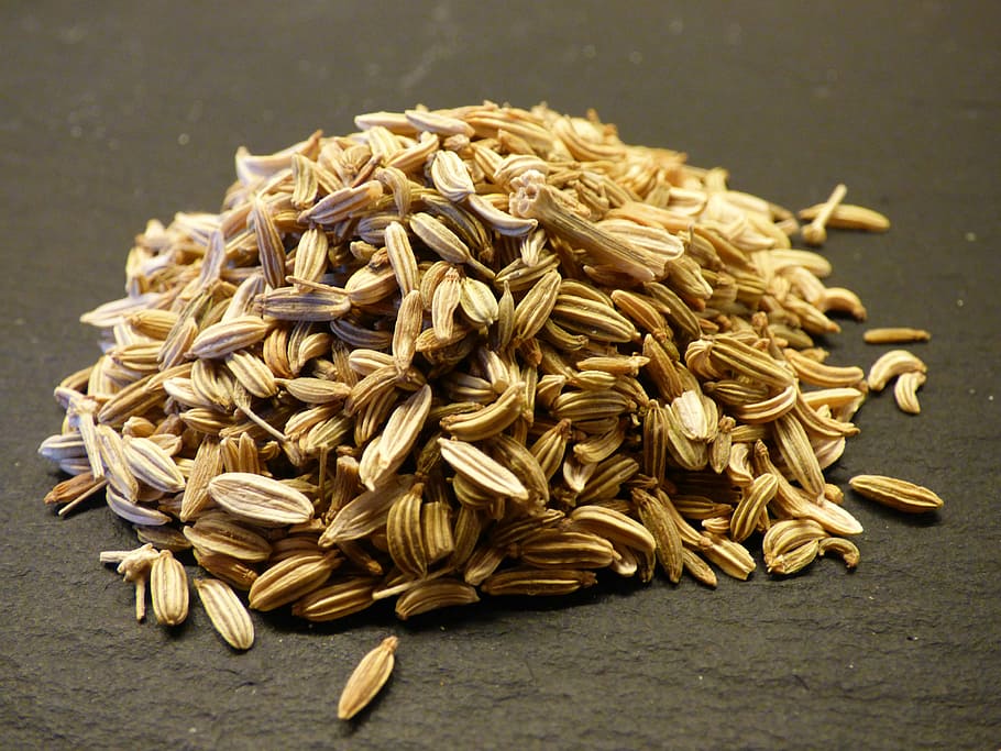 pile of seeds, fennel, herb, food, eat, food and drink, close-up