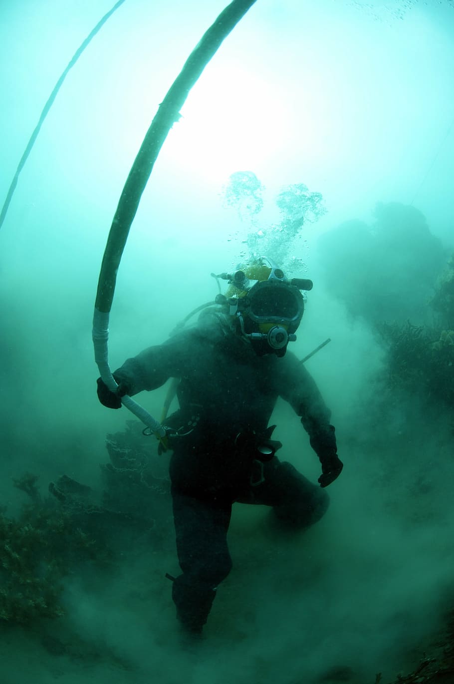 man in diving gear near live rock holding white rope, diver HD wallpaper