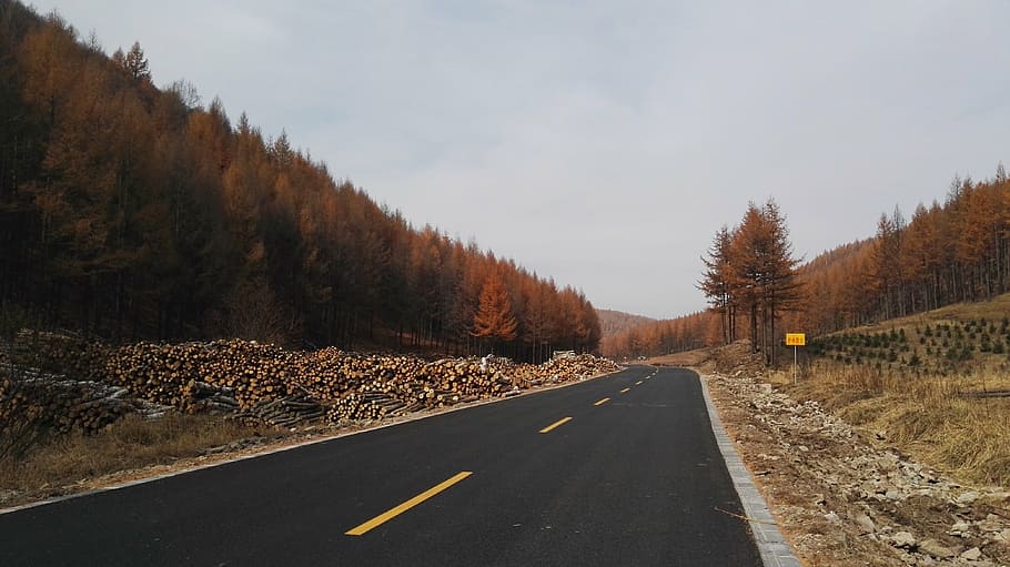 saihanba, road, distance, transportation, symbol, road marking HD wallpaper