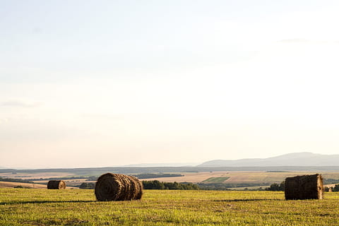 Hay, Bales, Farm, Fields, Country, Grass, rural, sky, landscape HD wallpaper