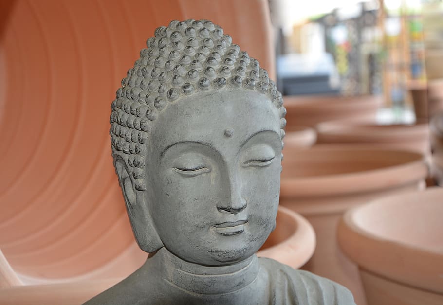 buddha, head, meditation, zen, founder of buddhism, decoration HD wallpaper