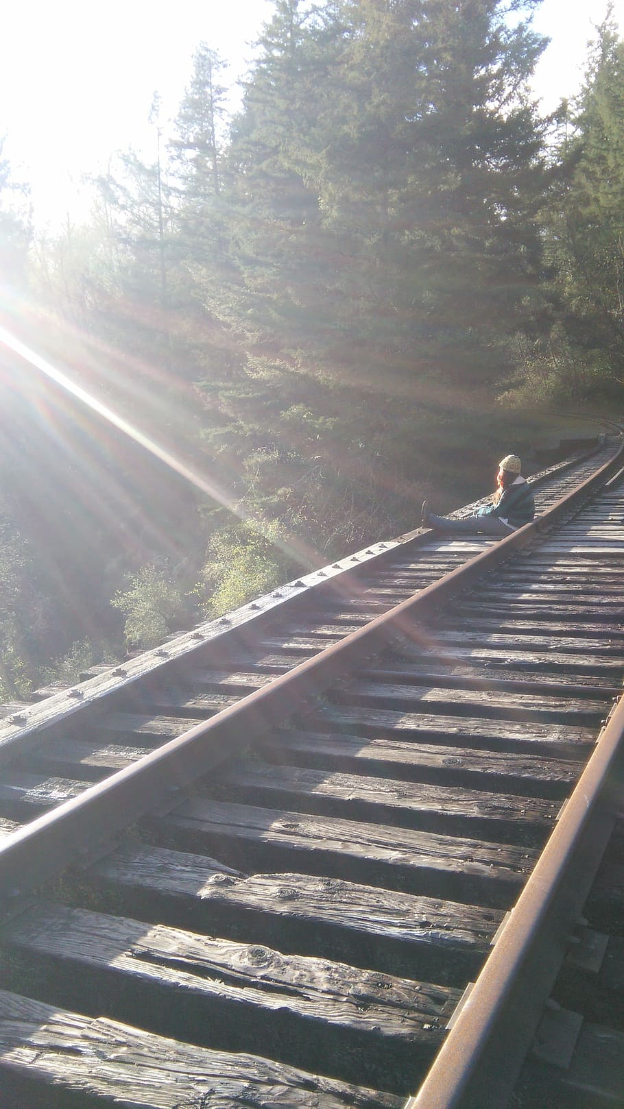 train tracks, nature, railroad, railway, landscape, outdoor HD wallpaper