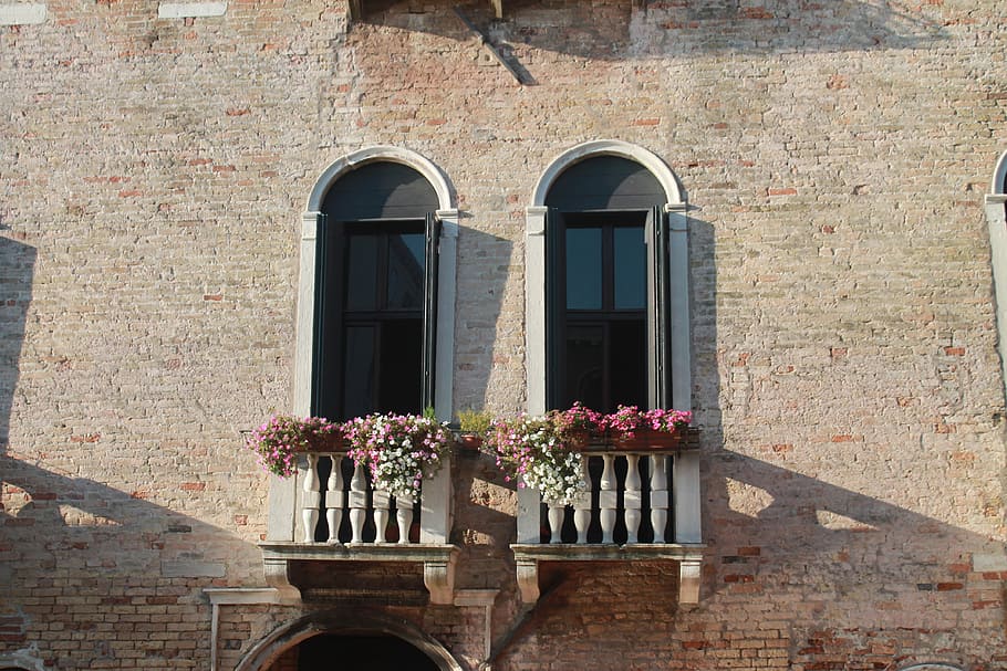 window, flowers, white, old building, old town, venice, flower box HD wallpaper