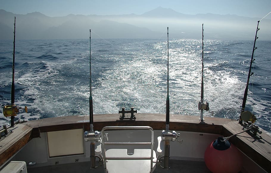 five brown and gray fishing rods in boat surrounded by body of water at daytime, HD wallpaper