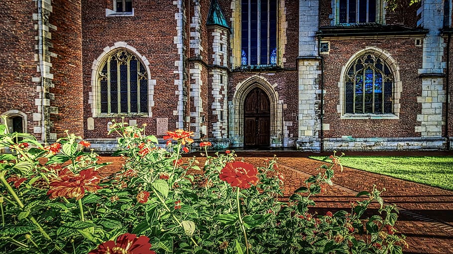 castle, flowers, entry, sunset, architecture, built structure HD wallpaper