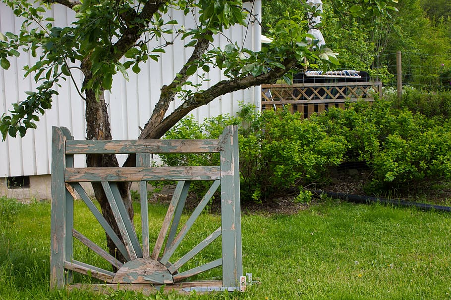 swedish, nature, summer, gate, old, tree, garden, plant, growth HD wallpaper