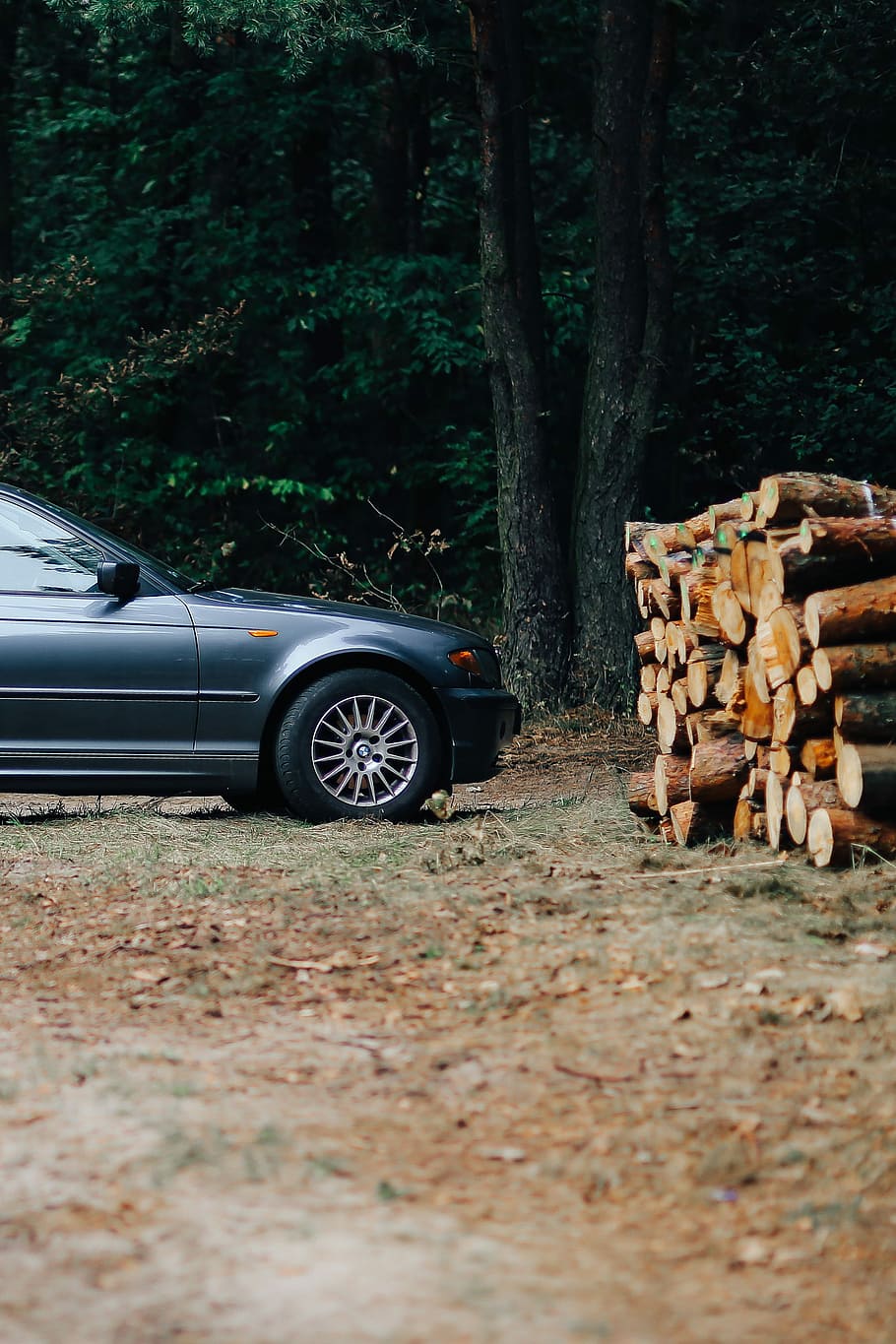 Car trip through fields and forests, grain, wheat, bmw, meadow HD wallpaper