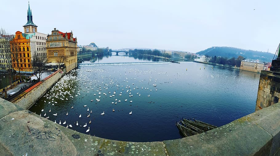 prague, river, bridge, architecture, built structure, water HD wallpaper