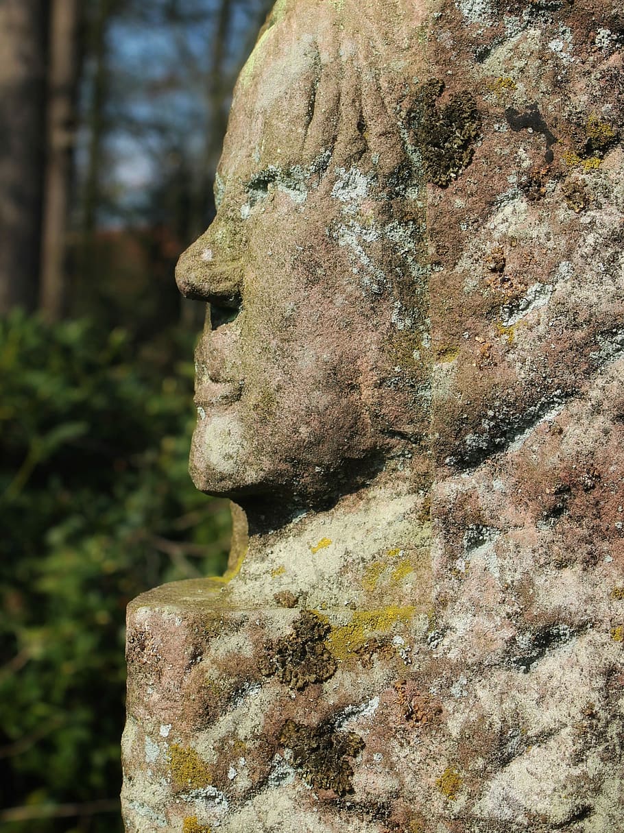 stone, rock, nature, old, face, profile, moss, texture, art HD wallpaper