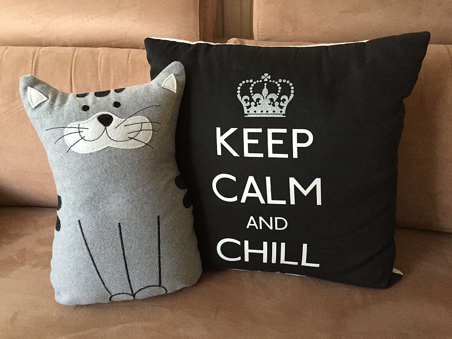 cat-themed and black pillows on brown couch, relax, chill, keep calm HD wallpaper