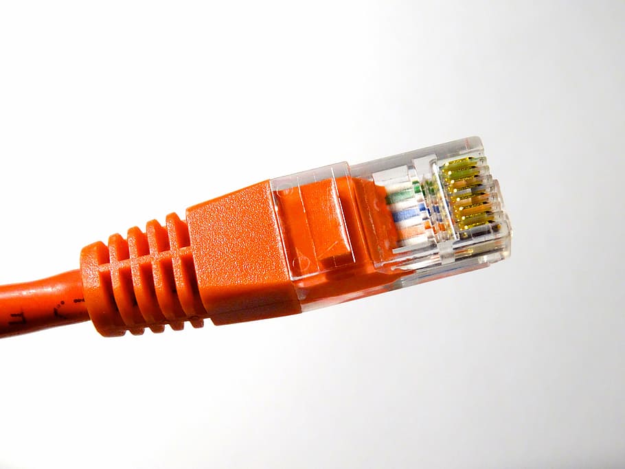orange ethernet cable, lan connector, connection, www, internet, HD wallpaper