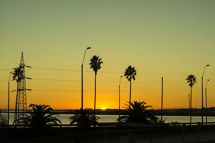 Sunset, Landscape, Sky, palm tree, silhouette, no people, nature HD wallpaper