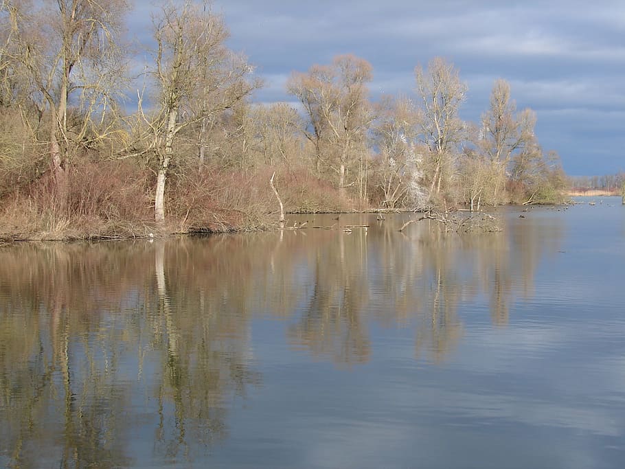 Rhine, Tauber, Casting, River, Landscape, tauber casting, river landscape HD wallpaper