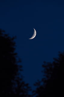 photo of crescent moon during nighttime, untitled, sky, tree HD wallpaper