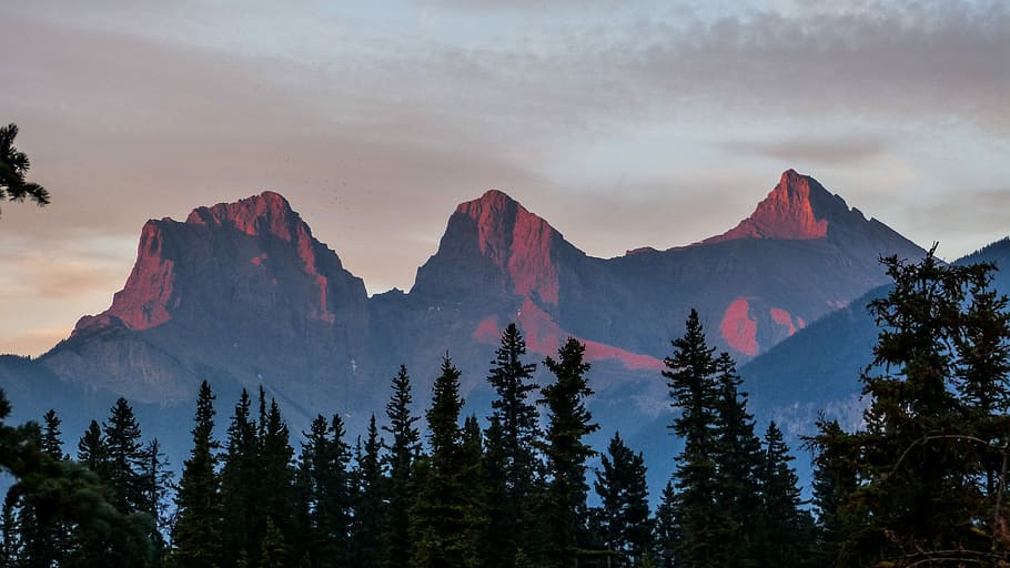trees and brown mountain under cloudy sky, pine trees planted near brown mountain HD wallpaper