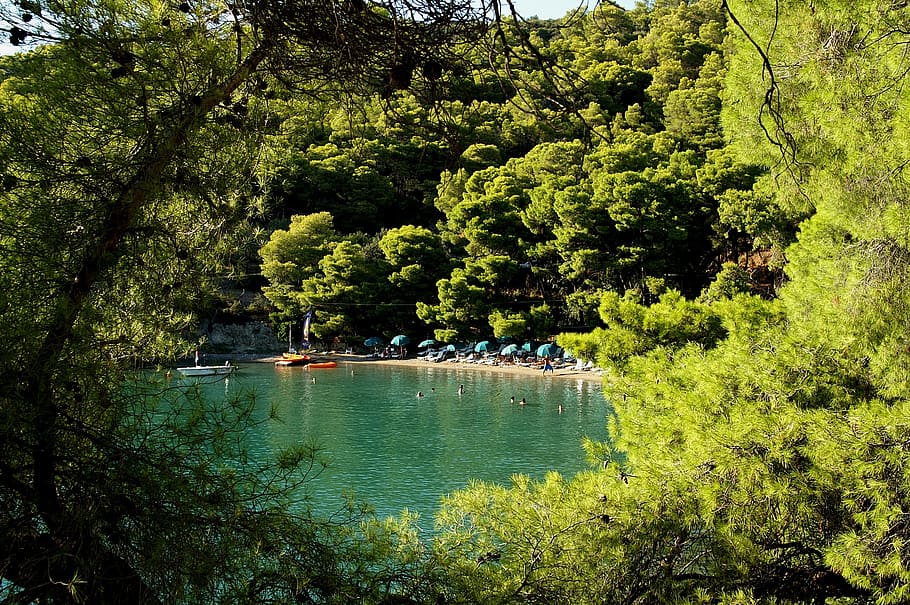 trader, beach, greece, sea, tree, plant, water, green color, HD wallpaper