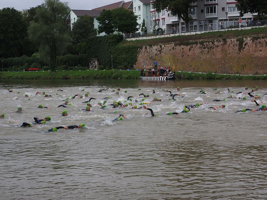 competition, crawl, involved, swim, track and field athletes HD wallpaper