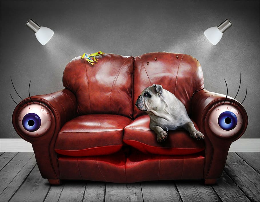 brown leather loveseat couch, sofa, surreal, eyes, dog, art HD wallpaper