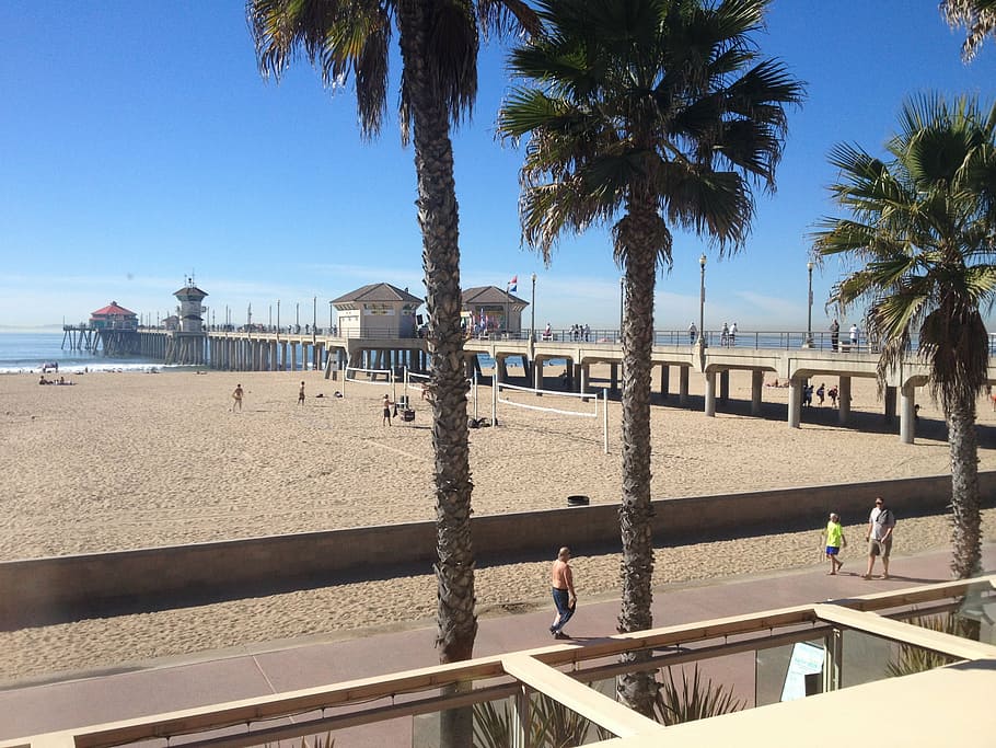 beach, pier, huntington beach, california, coast, pacific, palm trees, HD wallpaper