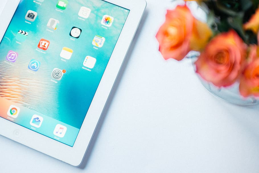 iPad and roses, objects, technology, apple Computers, internet HD wallpaper