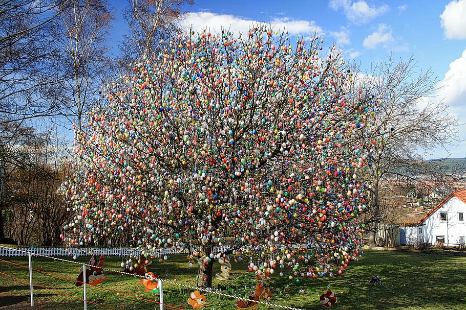 Easter, Egg, Easter Eggs, Egg Tree, happy easter, colorful eggs HD wallpaper