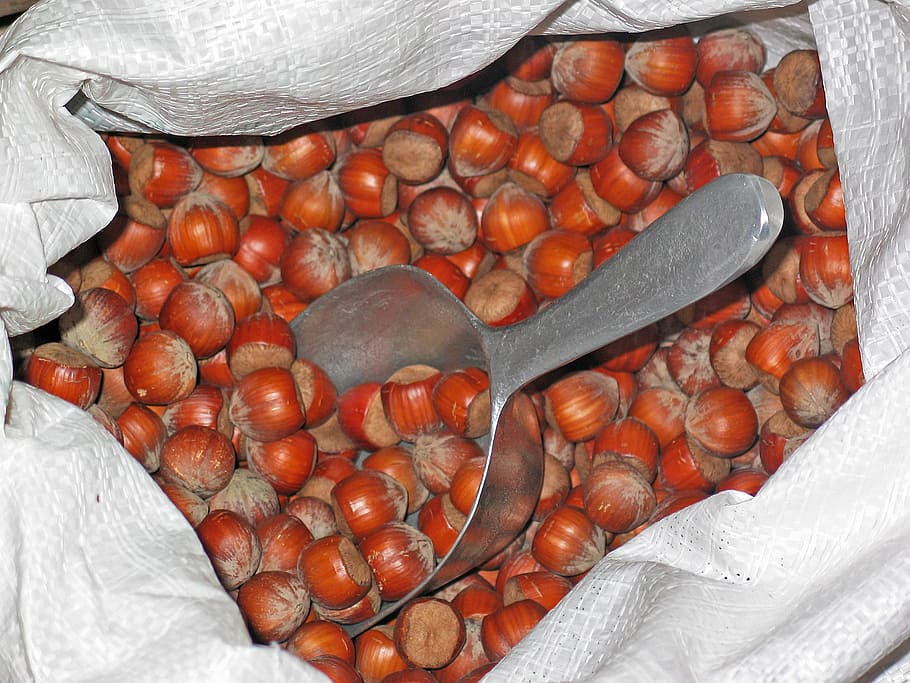 hazelnuts, food, brown, tasty, eat, shell, nutritious, basket HD wallpaper