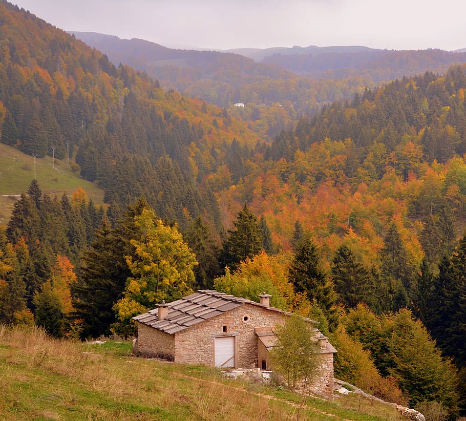 forest, autumn, alm, trees, landscape, mountain, the european path, HD wallpaper