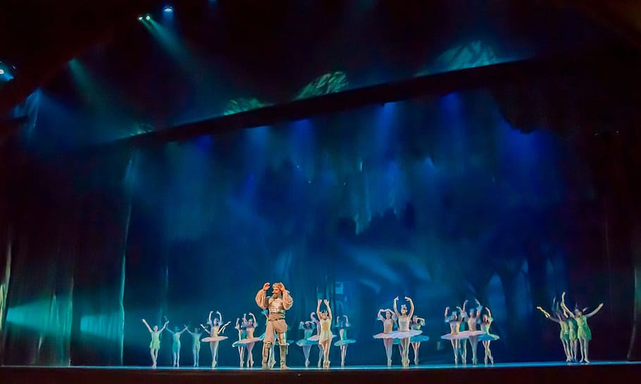 people doing ballet on stage, Performance, Don Quixote, ballerina HD wallpaper