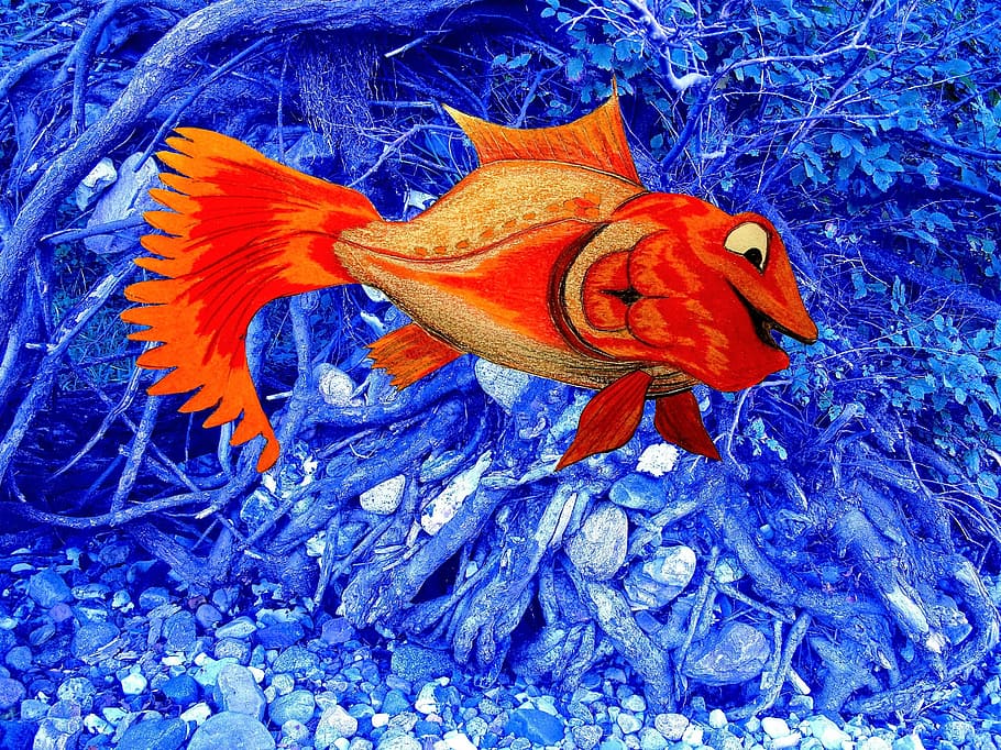 cute, fish, water, pretty, positive, harmless, colorful, painted HD wallpaper
