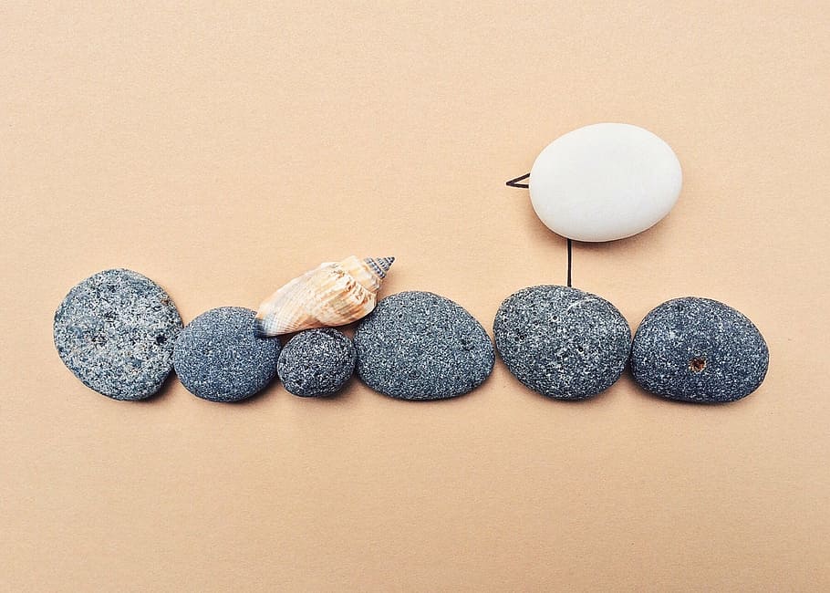six black stones, seagull, beach, ocean, bird, rock, art, indoors HD wallpaper