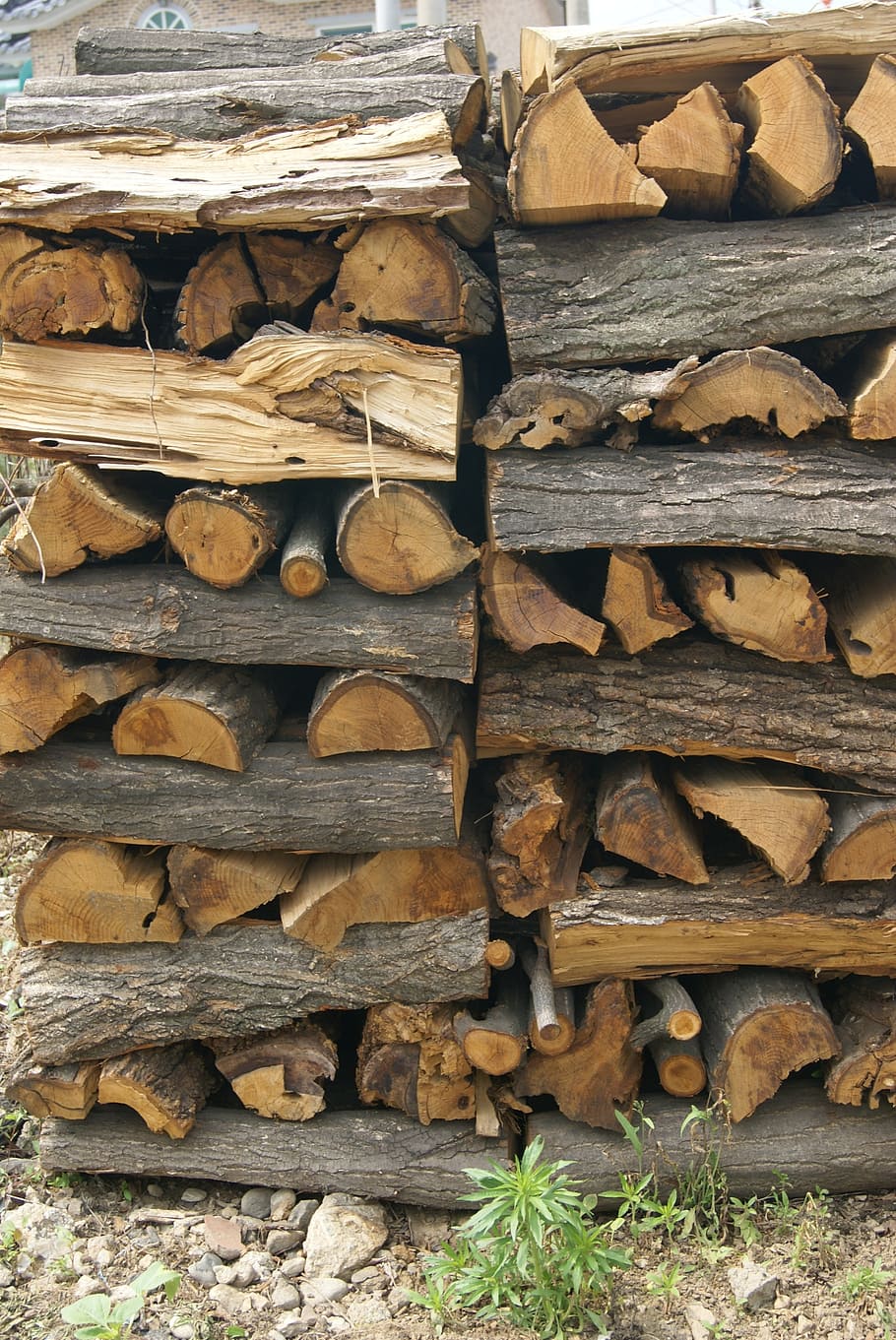 wood, firewood, also clearly sense, log, wood - material, timber, HD wallpaper