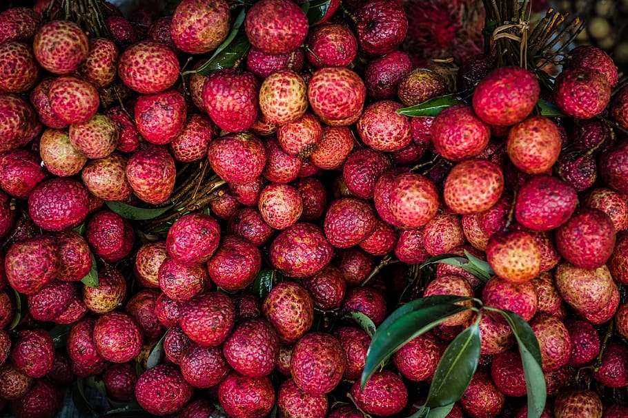 red fruit, round red fruit lot, green, pattern, texture, food and drink HD wallpaper