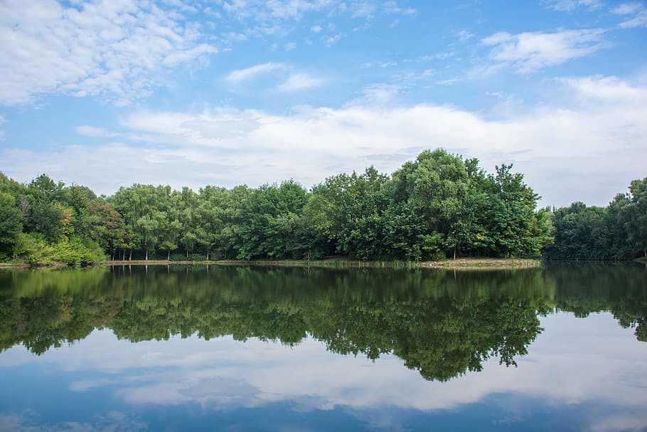 the scenery, forest, park, tree, reflection, cloud, blue sky HD wallpaper