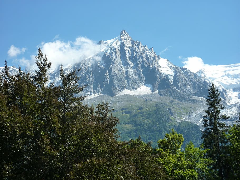 alps, mountain, summit, tree, plant, beauty in nature, sky HD wallpaper