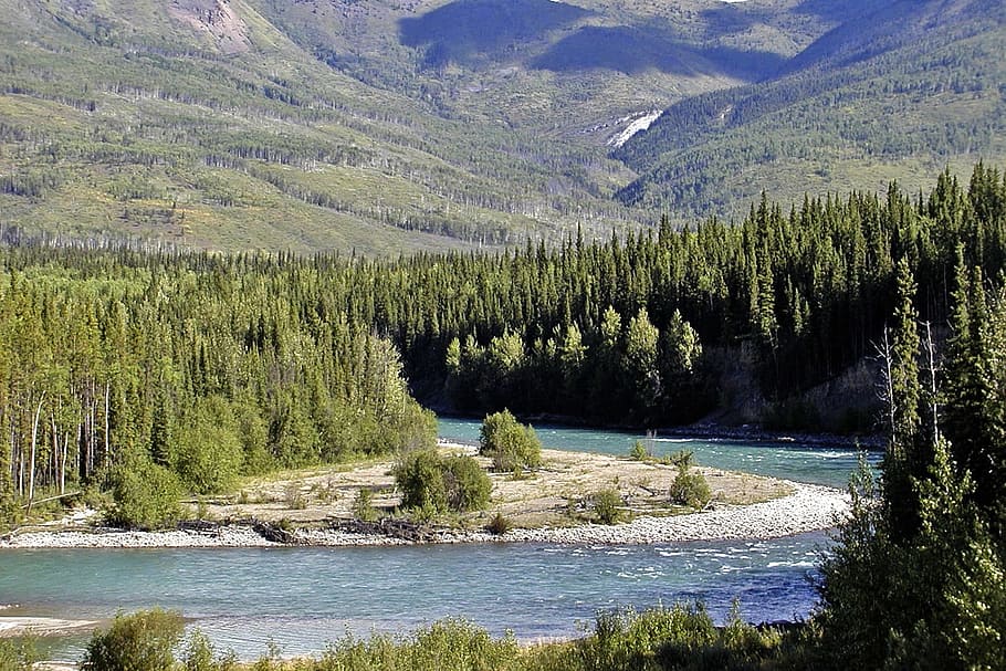 photography of river surrounded by trees near mountains, Yukon Territory, HD wallpaper