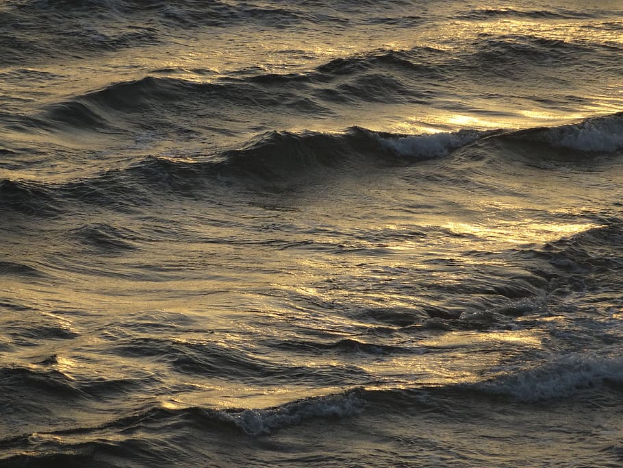 wave, sea, sunset, water, surface, motion, beauty in nature HD wallpaper