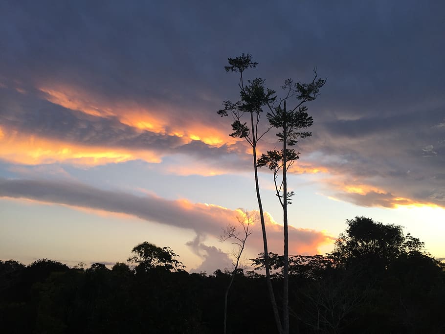evening, sky, clouds, sunset, dusk, evening sky, mood, landscape HD wallpaper