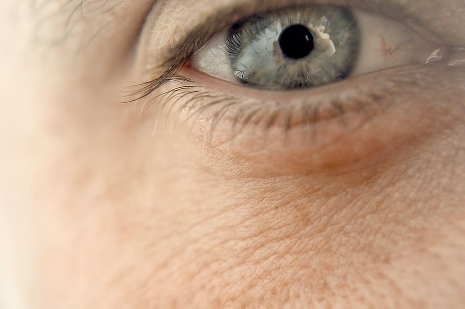 eye, zoom, look, human eye, eyesight, human body part, sensory perception HD wallpaper
