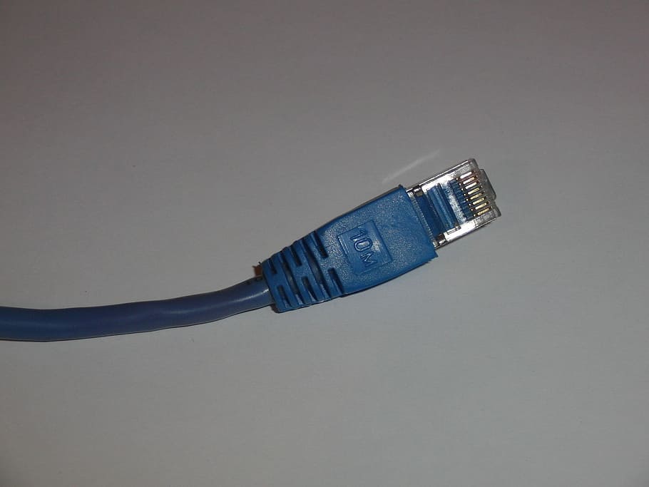 Network, Cable, Ethernet, network connection plug, computer network HD wallpaper
