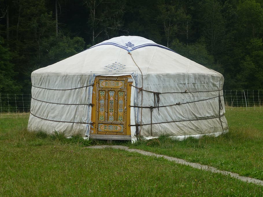 yurt, mongolia, nomadic life, steppe, home, live, plant, grass HD wallpaper
