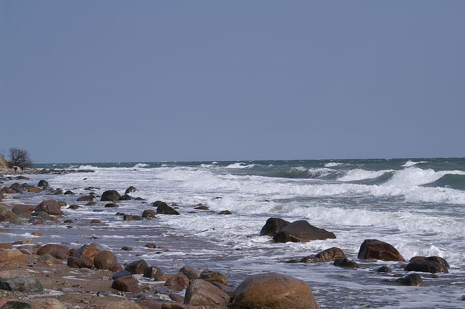 water, wave, lake, beach, frisch, baltic sea, beach water, wave motion HD wallpaper