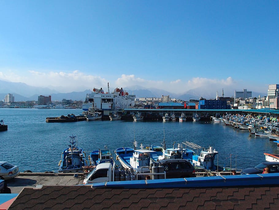 dongmyeong port, gangwon do, sokcho, winter sea, times, water, HD wallpaper