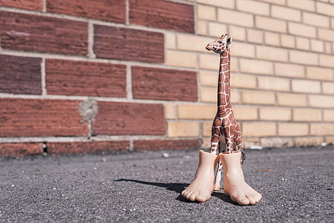 brown and white giraffe figurine, objects, animals, whimsical HD wallpaper