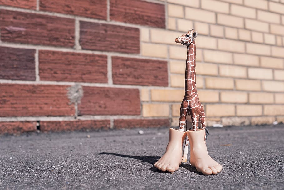 brown and white giraffe figurine, objects, animals, whimsical HD wallpaper