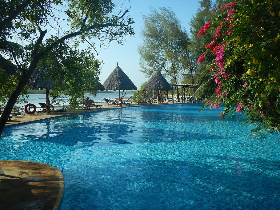 Funzi, Keys, Hotel, Kenya, funzi keys, swimming pool, water HD wallpaper