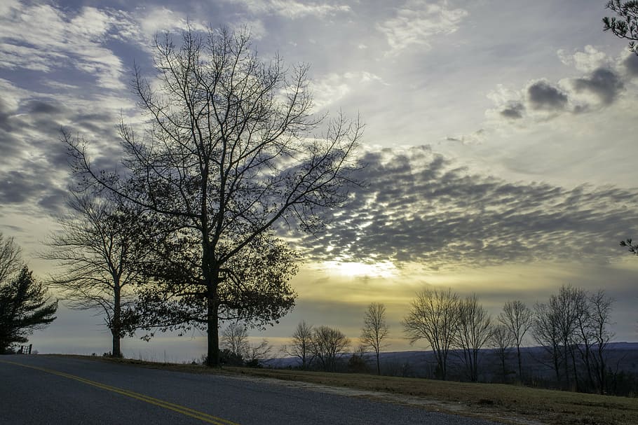 sunset, tree, silhouette, dusk, landscape, horizon, sky, cloud - sky HD wallpaper