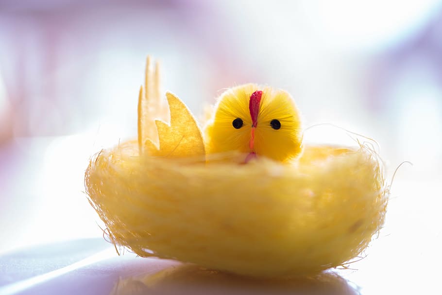 yellow, chick, decorative, chicken, easter, bird, animal, cute