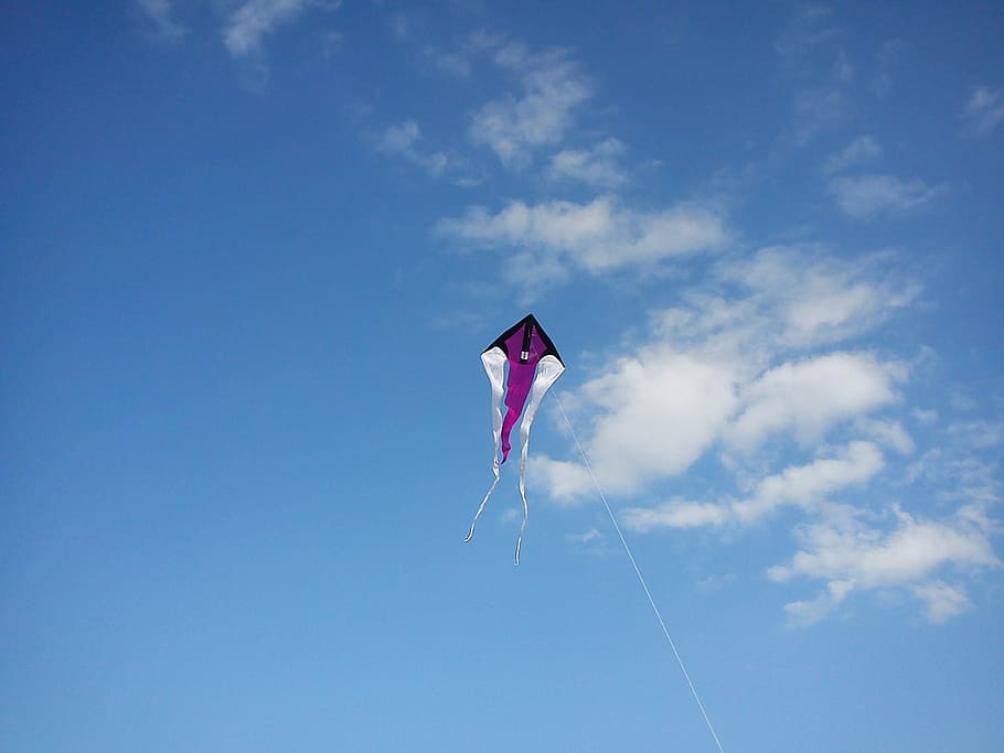 dragons, sky, wind, fly, float, high, snake, toys, leisure HD wallpaper